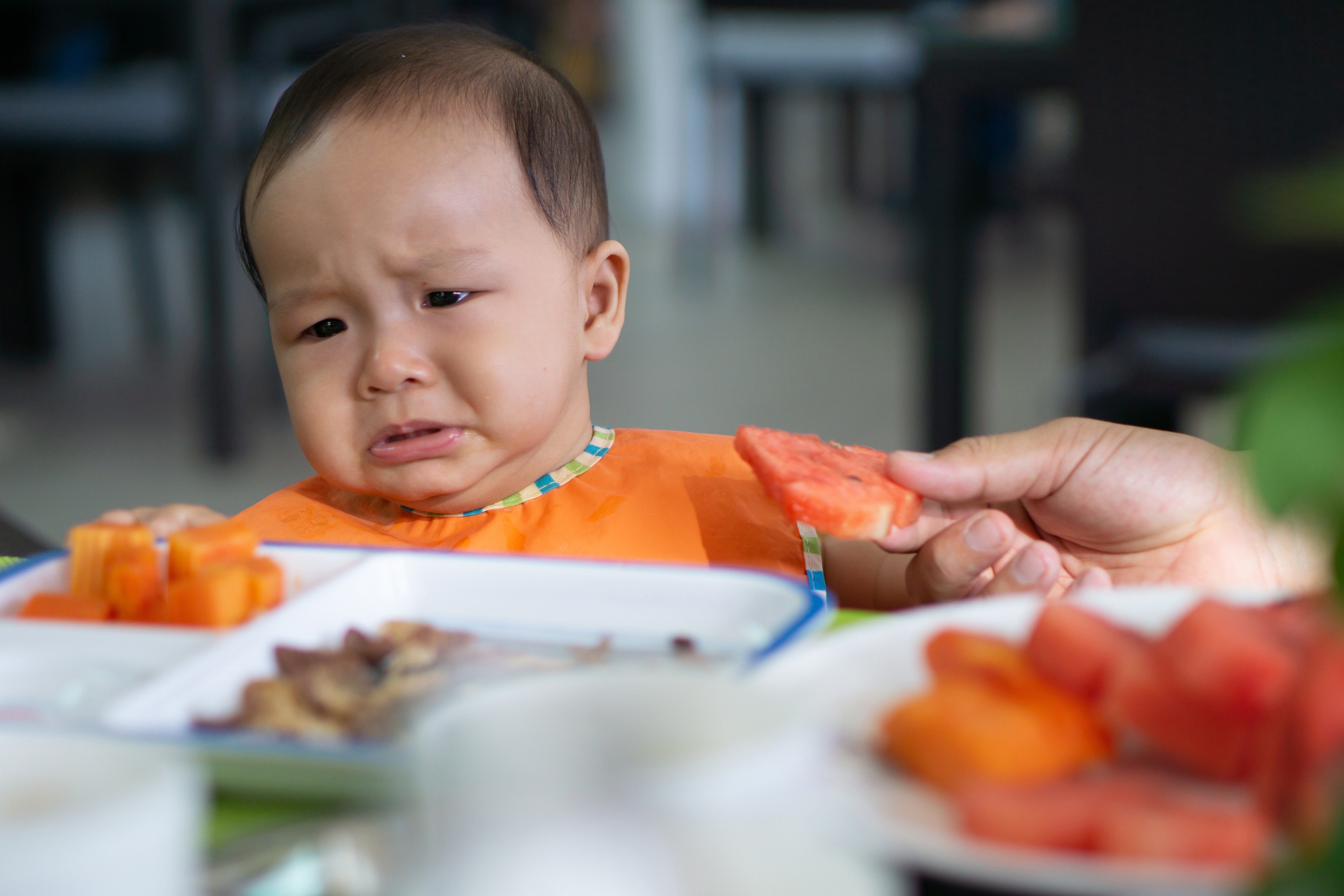 GTM bayi, tips makan bayi, Si Kecil menolak makan, jadwal makan bayi, porsi makan bayi, Bunda, si Kecil